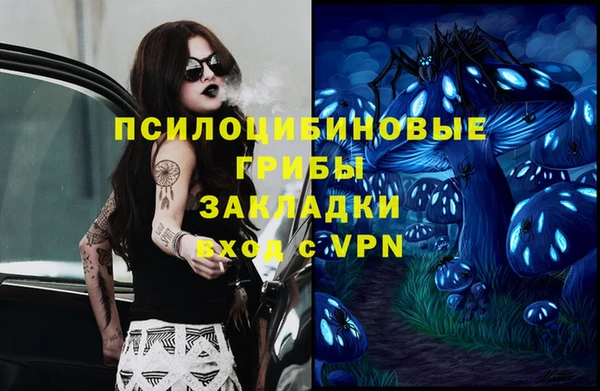 шишки Алексин
