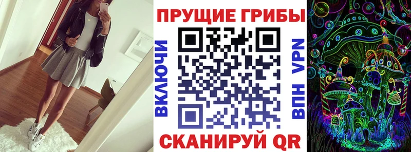 Псилоцибиновые грибы Cubensis  хочу наркоту  Сосновый Бор 