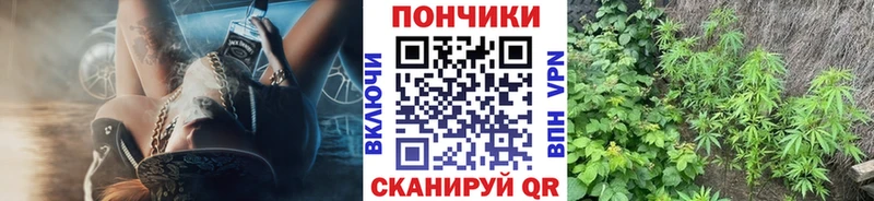 omg сайт Сосновый Бор Бошки марихуана MAZAR